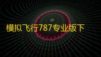 模拟飞行787专业版下载 v1.9.5 人气热度：19℃