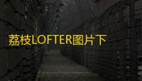 荔枝LOFTER图片下载助手 2.13 免费绿色版